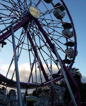 ferris wheel amusement park treasure island